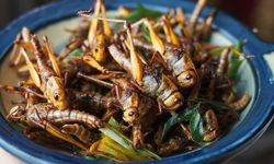 Serangga, Sumber Protein Berkelanjutan untuk Ketahanan Pangan