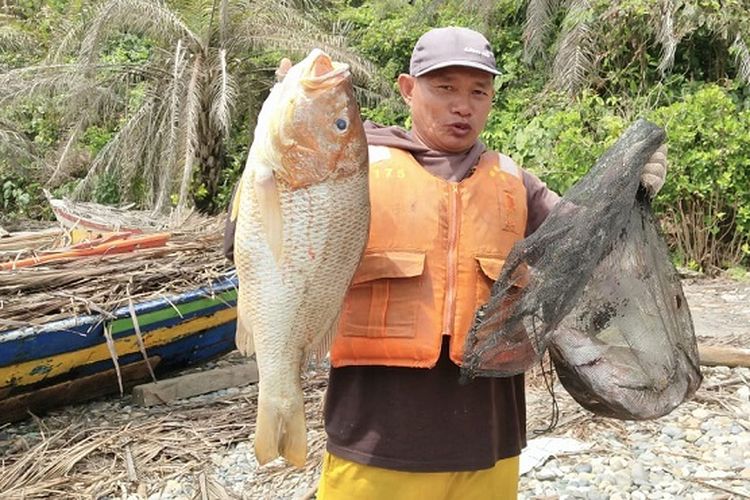 Hasil tangkapan nelayan Desa Kota Bani meningkat dari yang tadinya hanya dapat 2 kilogram per hari, kini menjadi 5 kilogram per hari.