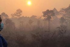 Riau Perpanjang Siaga Darurat Bencana Asap