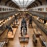 Selain Louvre, Museum Sejarah Alam Paris Juga Dirampok, Emas Rp 29 M Hilang