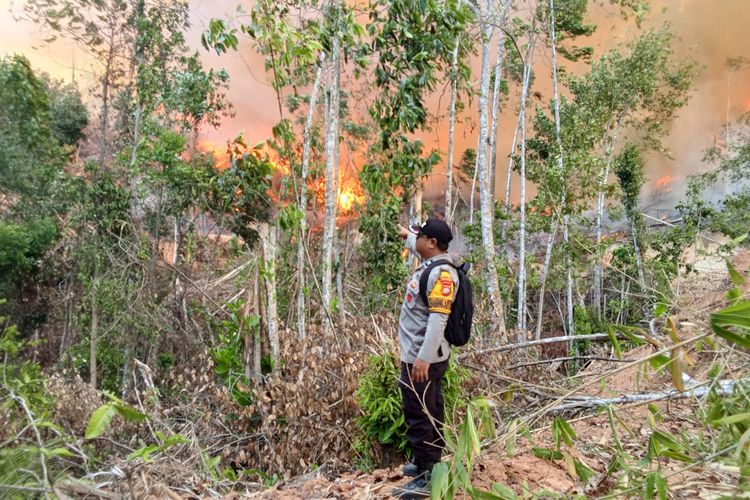 Kebakaran Lahan di 7 Wilayah Polman Capai 50 Hektar, Warga Shalat Istisqa