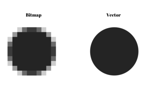 Perbedaan Gambar Bitmap dan Vector serta Contohnya 