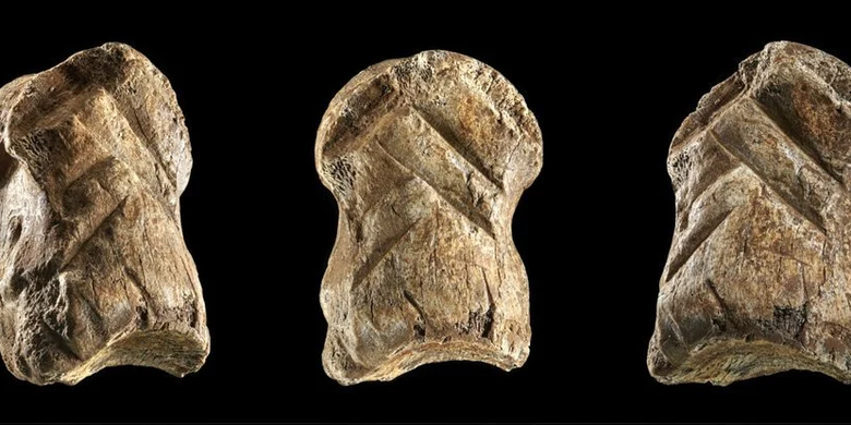 Tulang rusa dengan pola chevron. Tulang ini dibuat oleh Neanderthal 51.000 tahun lalu.