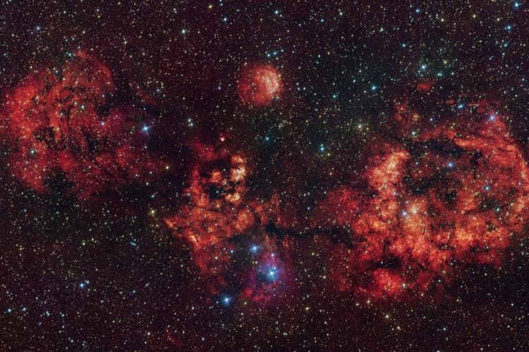 Gambar ini menunjukkan awan gas dan debu, berbentuk seperti kelelawar kosmik. Gambar ini sebagian besar diperoleh dalam cahaya tampak menggunakan Teleskop Survei VLT (VST), yang ditempatkan di Observatorium Paranal milik ESO di Chili. Cahaya merah yang intens berasal dari atom hidrogen yang terionisasi oleh radiasi intens bintang-bintang muda di dalam awan tersebut. Gambar ini juga mencakup data inframerah tambahan yang ditangkap oleh Teleskop Survei Visible dan Infrared untuk Astronomi (VISTA) milik ESO, yang juga berada di Paranal. Awan yang paling menonjol di sini adalah RCW 94, yang mewakili sayap kanan kelelawar, dan RCW 95, yang membentuk tubuhnya, sementara bagian lain dari kelelawar tersebut tidak memiliki sebutan resmi. 