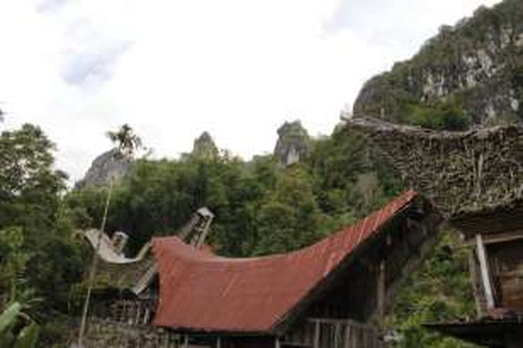Tongkonan adalah rumah tradisional Toraja yang berdiri di atas tumpukan kayu dan dihiasi dengan ukiran berwarna merah, hitam, dan kuning.