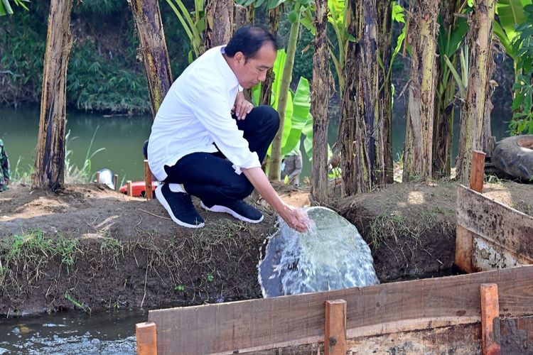 Presiden Joko Widodo saat memeriksa air hasil pompanisasi di Desa Krendowahono, Kecamatan Gondang Rejo, Kabupaten Karanganyar, Jawa Tengah pada Rabu (19/6/2024).