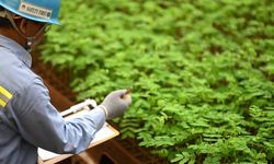 Konsisten Terapkan Keberlanjutan, Antam Tetap Jadi Bagian Indeks ESG