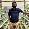 Tak Lagi Jadi Menteri, Jonan Kini Sibuk Bertani Sayur