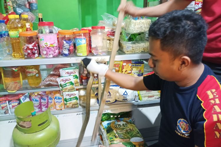 Petugas Unit Pelaksana Teknis (UPT) Pemadam Kebakaran (Damkar) Kabupaten Situbondo, Jawa Timur, menangkap ular kobra di sebuah toko warga, Senin (31/1/2022) dini hari.