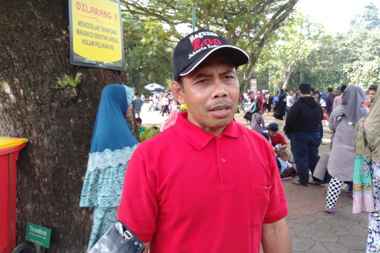 Kepala Satuan Pelaksana Promosi Kebun Binatang Ragunan Ketut Widarsono  di Taman Margasatwa Ragunan, K