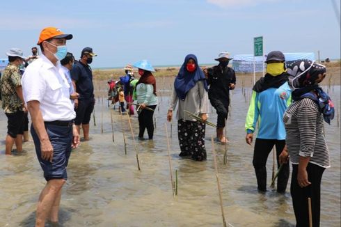 Demi Mangrove, Luhut Perintahkan Deputinya Lobi Eropa dan Abu Dhabi