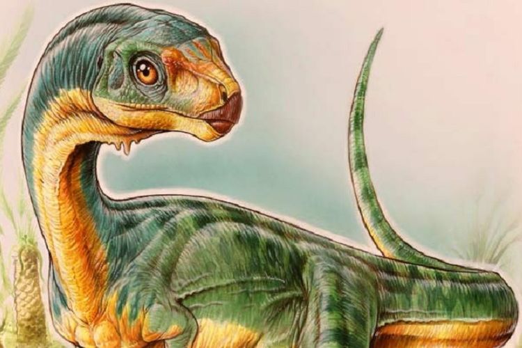 Chilesaurus diegosuarezi 