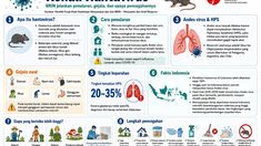 Debu Terkontaminasi Kencing Tikus Bisa Sebarkan Hantavirus, Dinkes Banyuwangi Beri Peringatan