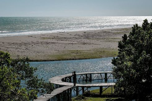 Padang Pariaman Punya Desa dengan Mangrove dan Pusat Wisata Religi