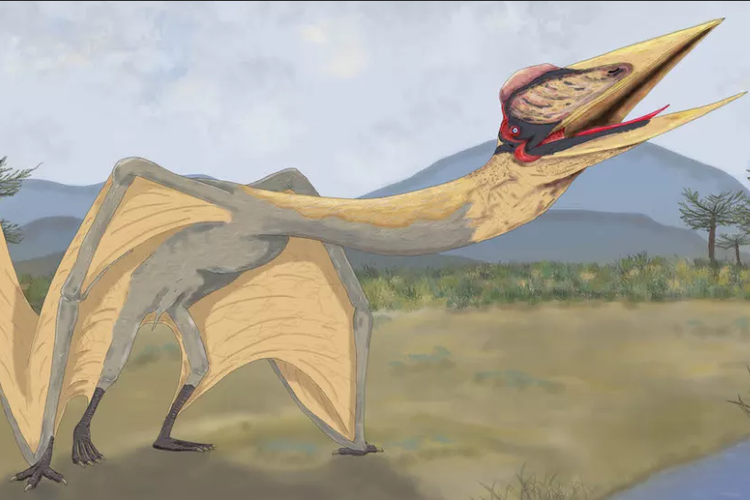 ilustrasi pterosaurus yang dijuluki Naga Kematian

