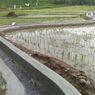 Kementan Dukung Petani dengan KUR, Pengamat: Pertanian Tumbuh Positif di Kuartal II