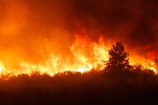 Gunung Salak di Sukabumi Terbakar, Penyebab Masih Diselidiki