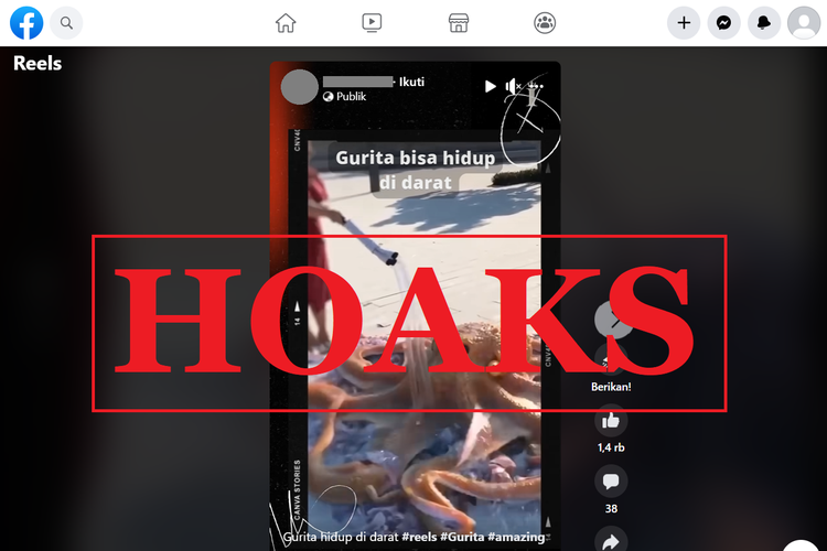 Tangkapan layar unggahan dengan narasi hoaks di sebuah akun Facebook, Jumat (17/2/2023), soal video yang menyebut bahwa gurita dapat hidup di darat.