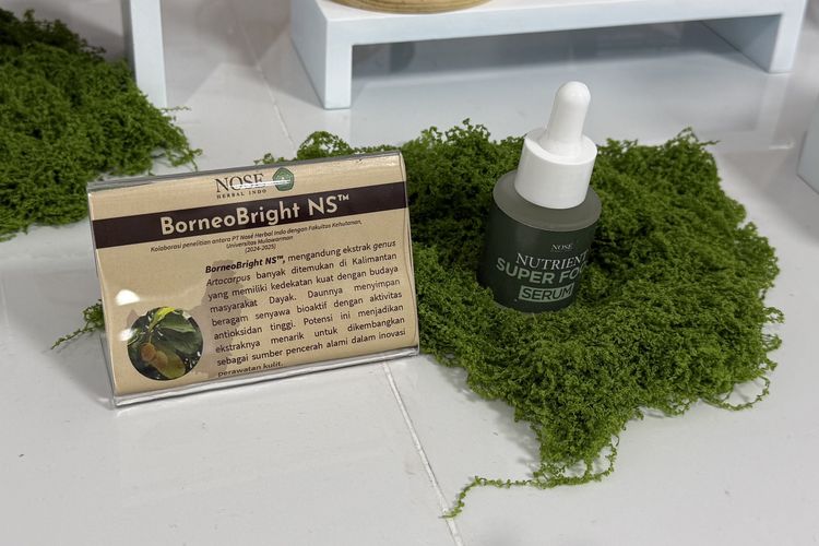 BorneoBright NS, bahan aktif dari hutan Kalimantan yang diformulasikan untuk membantu mencerahkan kulit.