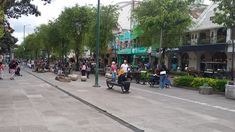 Kirab 80 Tahun Sultan HB X, Ini Lokasi Parkir Resmi untuk Tamu VIP dan Peserta Daerah