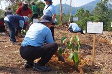 Terdapat Area yang Terbuka, Hutan Kemasyarakatan di Kalteng Perlu Restorasi