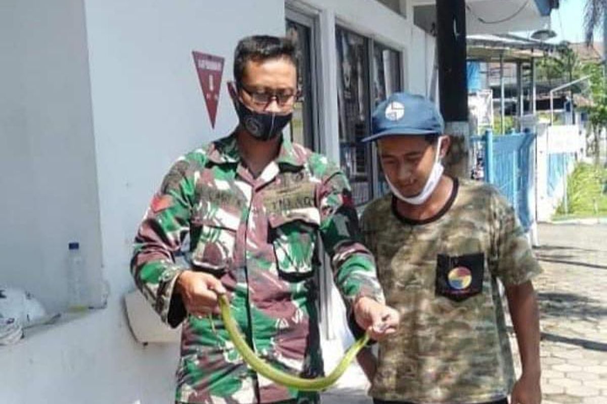 Sabzavotlar bilan jinsiy aloqa porno video