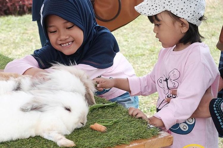 Wisata Happy Farm Ciwidey: Tiket Masuk, Jam Buka, dan Rute