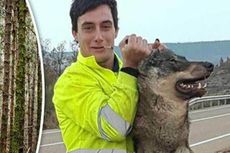 Foto dengan Serigala Langka Hasil Buruan, Pria Spanyol Dikecam
