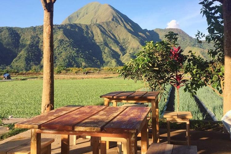 Kedai Sawah Sembalun di Desa Sembalun Bumbung, Kecamatan Sembalun, Kabupaten Lombok Timur.
