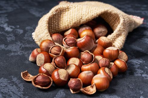 Bagaimana Nenek Moyang Manusia Memanen Hazelnut, Studi Ungkap