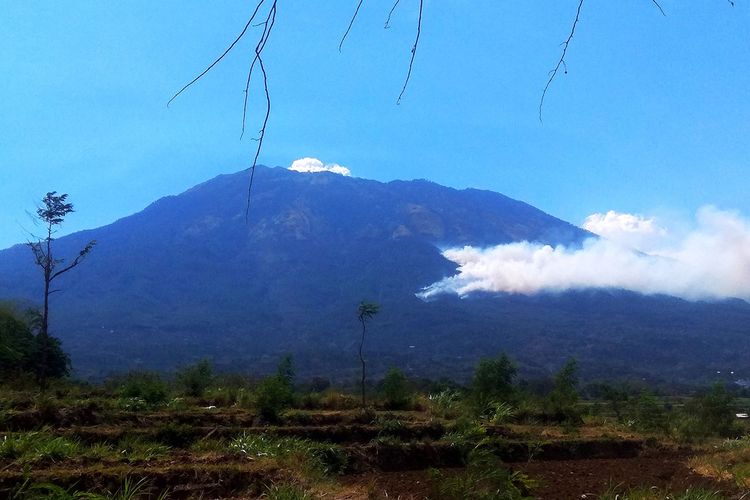 Hutan Gunung Lawu di sisi Timur tepatnya di perbatasan Desa Sukowidi dengan area perhutani terbakar Jumat siang sekitar pukul 09:30 WIB.