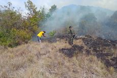 Wabup Manggarai Timur Pimpin Tim Padamkan Kebakaran Hutan Pocolumu