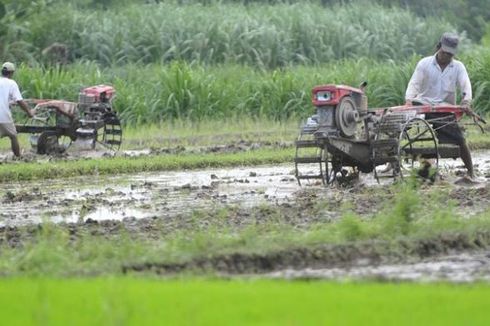 Proyek Cetak Sawah Terhenti akibat Banjir