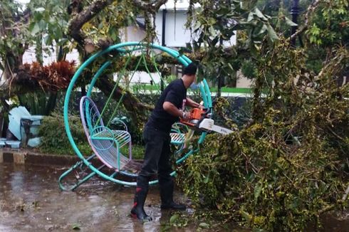 Hujan Deras Berjam-jam, Pohon Tumbang di Beberapa Lokasi di Salatiga