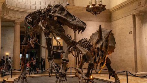 "Jurassic Park" Jadi Nyata, Peneliti Swedia Garap Proyeknya