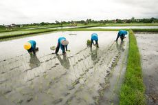  Kegagalan Kebijakan Agraria Sebabkan Krisis Iklim Kian Mengancam