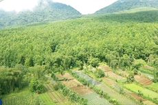 Sudah Beralih Fungsi, Kawasan Hutan di Desa Bangli Harus Segera Dilepaskan