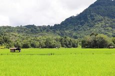 Sambut Program Makan Siang Gratis, 10.000 Hektar Lahan Kering Disulap Jadi Kawasan Terpadu Hortikultura