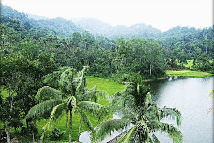 Telogo Rejo Sendang Baru, salah satu tempat wisata alam Lampung.
