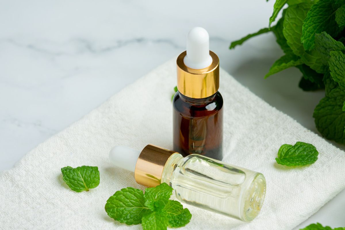 Ilustrasi essential oil peppermint. 