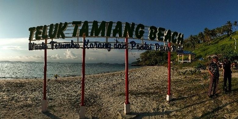 Pantai Teluk Tamiang.