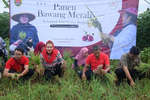 Mbak Ita Dorong Pengembangan Bawang Merah Varietas Bima di Kota Semarang