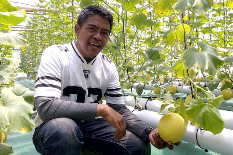 Kalah dalam Pilkada Kota Blitar, Bayu Bangkit dengan Budidaya Melon Hidroponik