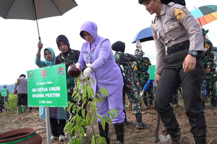 Ibu Kehormatan Taruna Akademi TNI Evi Agus Subiyanto, menanam pohon bersama Taruna Latsitardanus XLIV di IKN, Senin (27/5/2024).