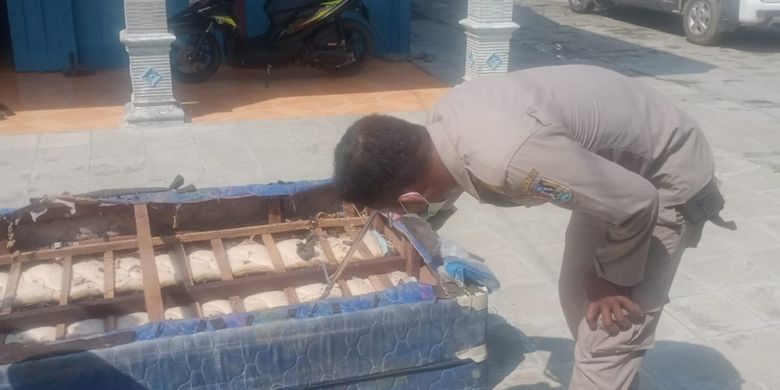 Ular King Kobra di Bawah Kasur Kamar Tamu