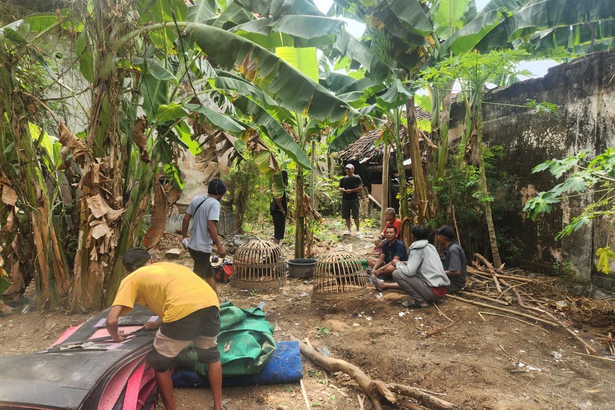 Satreskrim Polres Situbondo Polda Jatim menangkap tiga orang pelaku judi sabung ayam di Dusun Kotakan, Desa Kotakan, Kecamatan Situbondo, Kabupaten Situbondo, Provinsi Jawa Timur pada Minggu (22/6/2025). 