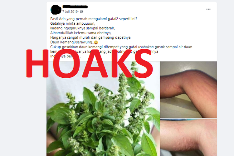 Tangkapan layar unggahan getah daun kemangi diklaim dapat dijadikan obat gatal pada kulit.