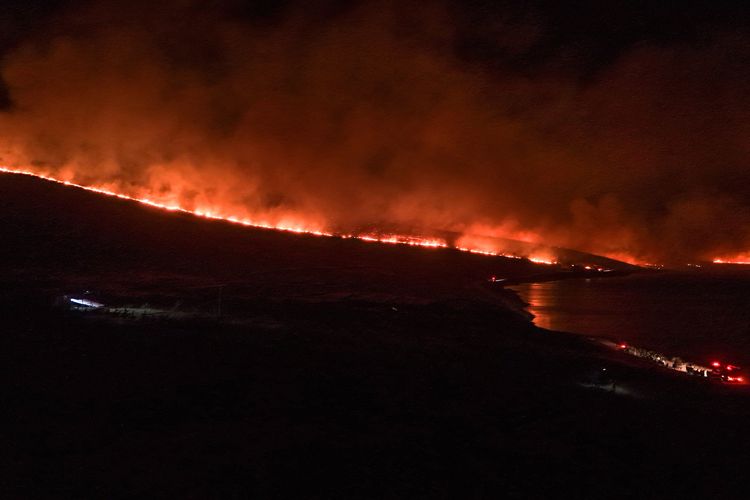 Kebakaran hutan di distrik Cesme, Izmir, Turkiye pada 3 Juli 2025.