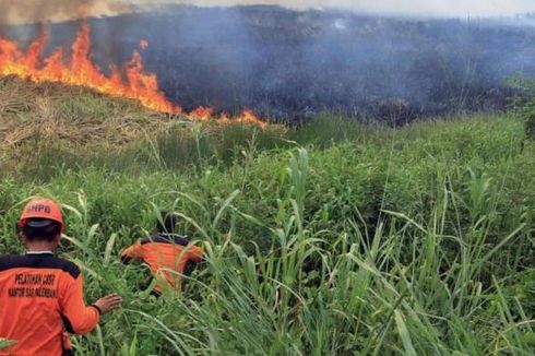 Kebakaran Hutan, Pemerintah Harus Lakukan Audit Kepatuhan
