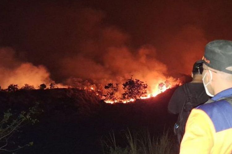 Api membakar hutan dan lahan (karhutla) kawasan Gunung Bromo.